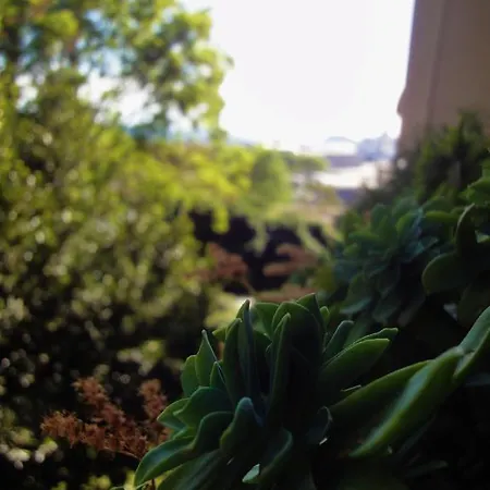 Apartment Orsula Split